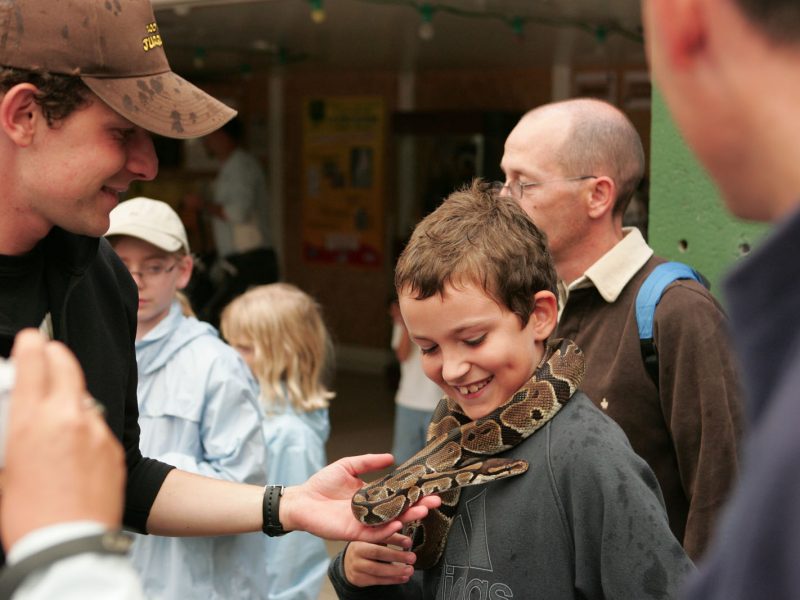 contact avec les serpents
